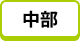 中部