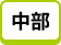 中部